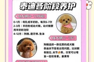 泰迪疫苗注射后的洗澡禁忌期及护理方法（了解泰迪疫苗后的洗澡时间，保护宠物的健康）