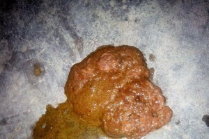 狗狗剖腹产后为什么会拉稀？（探究剖腹产对狗狗消化系统的影响及应对措施）