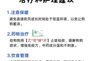 幼犬气管炎的病因、症状和治疗方法（解读幼犬气管炎，从根源到治疗）