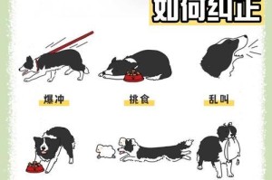 松狮犬定点大小便训练的5招轻松搞定（让你的松狮犬不再乱拉乱尿，轻松解决大小便问题）
