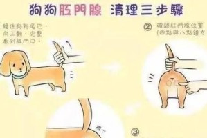 为什么要给狗狗定期挤肛门腺？（肛门腺分泌物臭味难闻，定期挤腺可预防疾病）