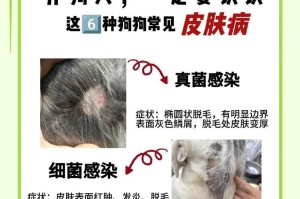 人与狗共患传染病的危险性（以人为源的疾病对狗的传播及预防）