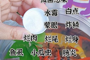 揭秘鱼缸水发臭的原因及解决方法（腥臭气味源自鱼缸水的奥秘与解决之道）