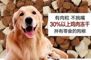 两个月大的法牛适合吃什么狗粮？（科学选择营养均衡的狗粮，让法牛健康成长。）