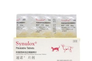 给狗狗使用消炎药的指南（选择合适的消炎药为狗狗解决健康问题）