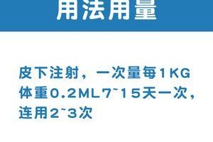 先锋注射液治疗狗狗常见症状的有效措施（宠物狗狗常见症状引发的健康问题可通过先锋注射液得以缓解）