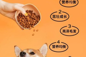 狗粮适口性好的选择（为你的宠物选择最合适的狗粮）