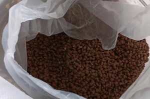 法斗圈的食量之谜（揭秘法斗一天吃多少狗粮，真相让人惊讶！）