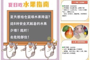 仓鼠水果饮食需求及频率（科学喂养的关键是掌握合适的水果喂食频率）