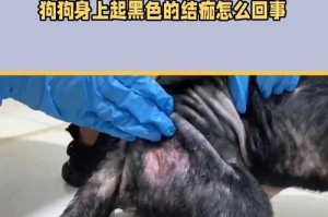 狗挠伤后结痂需要多长时间？（探究狗挠伤结痂过程中的时间因素）