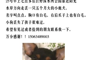 小鹿犬为什么会发抖？（探究小鹿犬发抖的原因及解决方法）