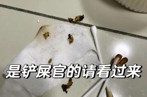 狗狗耳螨的治疗费用及自行解决方法（钱不是问题！了解治疗费用，也学会自己解决）