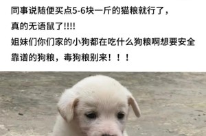 选择安全的狗粮去泪腺问题（为你的爱犬选择适合的狗粮，告别泪腺问题）