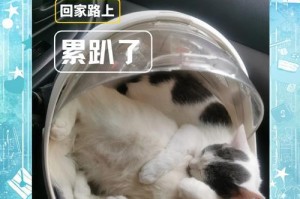 探寻溜猫的乐趣（寻找猫咪天堂，与小猫儿一同畅游）