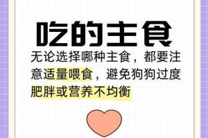如何科学养护你的泰迪宠物（营养饮食，健康成长）