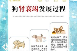 了解狗狗肾病处方粮的选择（为你的宠物提供最佳的饮食方案）