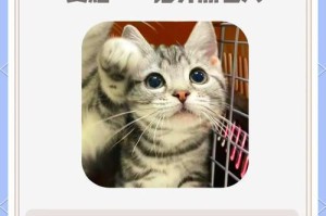 超级好脾气的猫咪（探索猫咪五种脾气好的品种，共同分享快乐时刻）