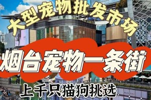 烟台最适合养哪些犬种？（探索烟台市内适合养犬的最佳品种及其特点）