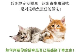 猫咪体内驱虫的周期（了解猫咪驱虫周期的重要性）
