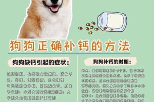 如何帮助狗狗缓解消化不良问题？（消化不良的主要原因及对策）