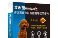 保护您的宠物犬免受虫害侵扰（选择最有效的方法来保护您的狗狗免受寄生虫的侵害）