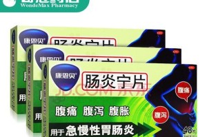 幼犬胃肠炎的治疗药物选择（药物治疗胃肠炎的关键因素及常用药物介绍）