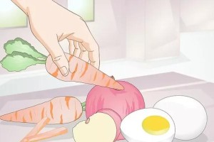 如何正确喂养虎皮鹦鹉（喂食时间、手法及次数一次了解）