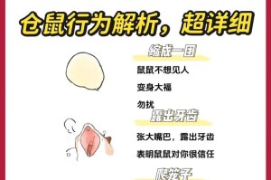 了解这些小知识，让你家的仓鼠宝宝更健康快乐（为仓鼠宝宝提供合适的饮食和环境，让它们生活得更好）