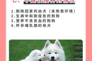 狗狗疾病预防指南（保护你的爱宠免受常见疾病侵袭）