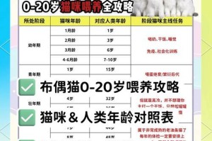 猫咪的成长与年龄阶段（探寻猫咪不同年龄阶段的特点与需求）