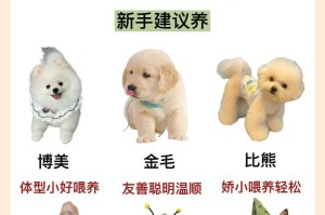 新手养狗攻略（从适应环境到健康护理，关爱幼犬的重要一步）