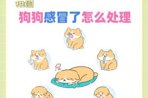 宠物狗感冒的治疗方法（只需做好以下三点，狗狗很快康复）