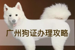 长沙不办狗证能否合法养狗？（探究长沙市养狗政策及罚款情况）