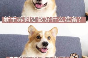 养一只狗狗的消费是多少？（了解养狗每年花费的费用和关键要素）