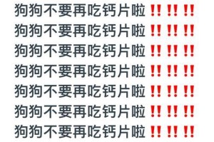 揭秘饲养狗狗的七大误区（了解这些误区，让你成为更好的狗主人）