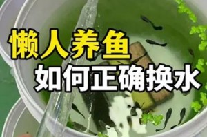孔雀鱼的水质管理及水换频率（探讨孔雀鱼的水换频率及其影响因素）