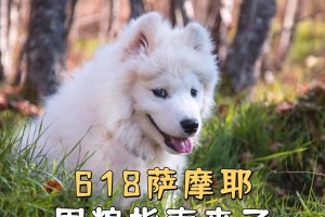 如何选择适合萨摩耶的优质狗粮品牌？（关于萨摩耶狗粮的选择和营养需求，这是你需要知道的一切！）
