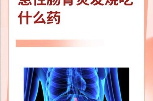 幼犬发烧急需合适的药物和饮食调整（幼犬发烧了吃什么吐什么药，）