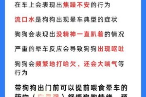 帮助狗狗减轻晕车痛苦的有效方法（揭秘狗狗晕车的病因和应对策略）
