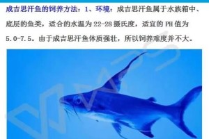 探寻成吉思汗是什么鱼的奥秘（一段传奇之谜的解密之旅）