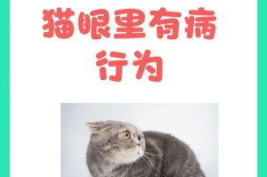 猫的叫声与疾病（探索猫咪叫声背后的健康问题及应对之策）