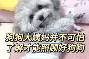 狗狗的生理期（了解狗狗的生理期，给它们更好的关爱）