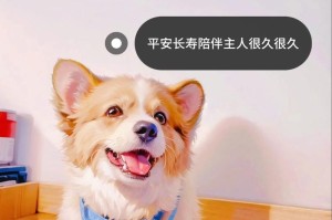 狗狗离世后多久能再养？（适合再次养狗的最佳时间）