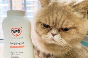 选择最好的猫干洗粉品牌，呵护宠物健康（什么牌子的猫干洗粉最好？你需要知道的关键信息）