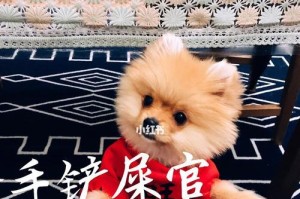 购买狗狗的费用预算和准备事项（为您的新家庭成员提供最佳准备条件）