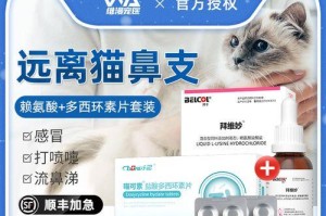小猫感冒不能随便吃药！（了解这些关键信息，保护你的猫咪健康）