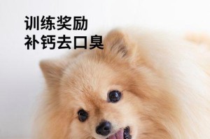狗狗磨牙棒的危害与注意事项（了解狗狗磨牙棒使用的风险，给它们更好的关爱）