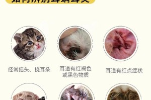 彻底治疗狗狗耳螨的方法（耳螨传染性强，小心防治！+）