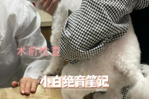 狗绝育术后恢复的时间和注意事项（了解狗狗的绝育手术恢复过程，让你的宠物尽早恢复活力）