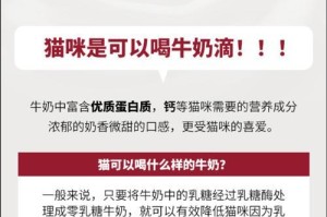 猫咪的日常饮食需求（每只猫咪需要摄入多少猫粮合适？）